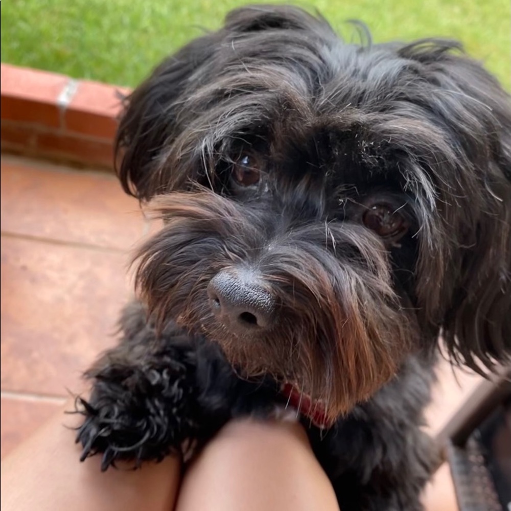 Meet your Posher, Jimena
